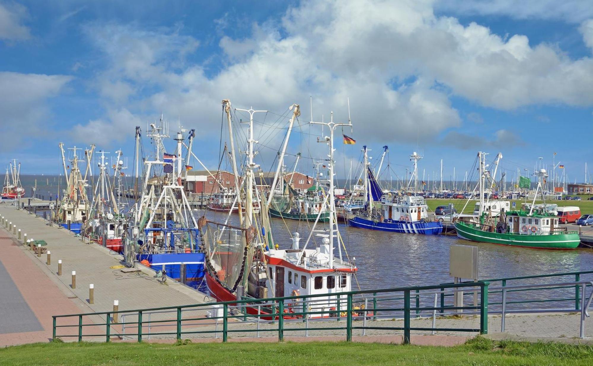 Ferienhaus Hornhecht Dornumersiel Luaran gambar